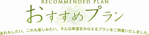 おすすめプラン RECOMMENDED PLAN　あれもしたい。これも楽しみたい。そんな希望を叶えるプランをご用意いたしました。