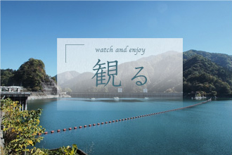 見る　watch and enjoy