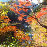 奥多摩の紅葉　むかし道