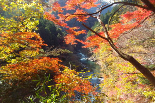 奥多摩の紅葉　むかし道