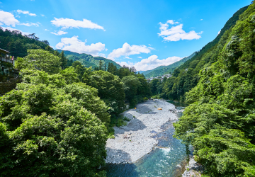 氷川キャンプ場